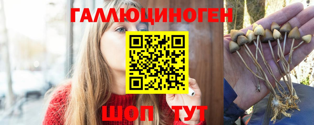 Псилоцибиновые грибы прущие грибы  купить закладку  Лесозаводск  Вход с VPN  Галлюциногенные грибы ЛСД 